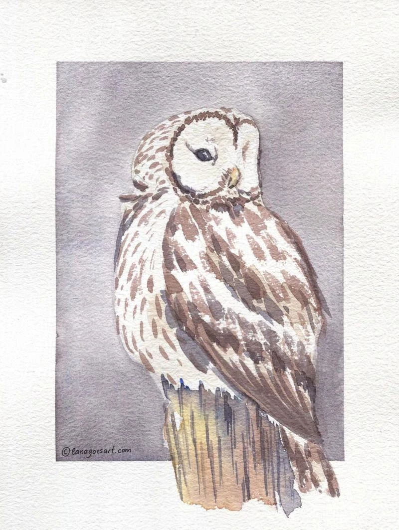 Watercolor Owl Painting no ai