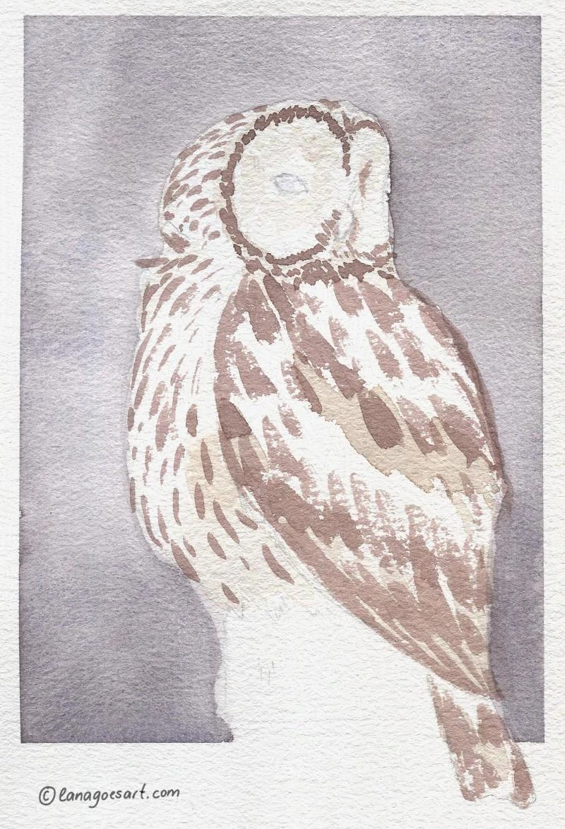 owl painting