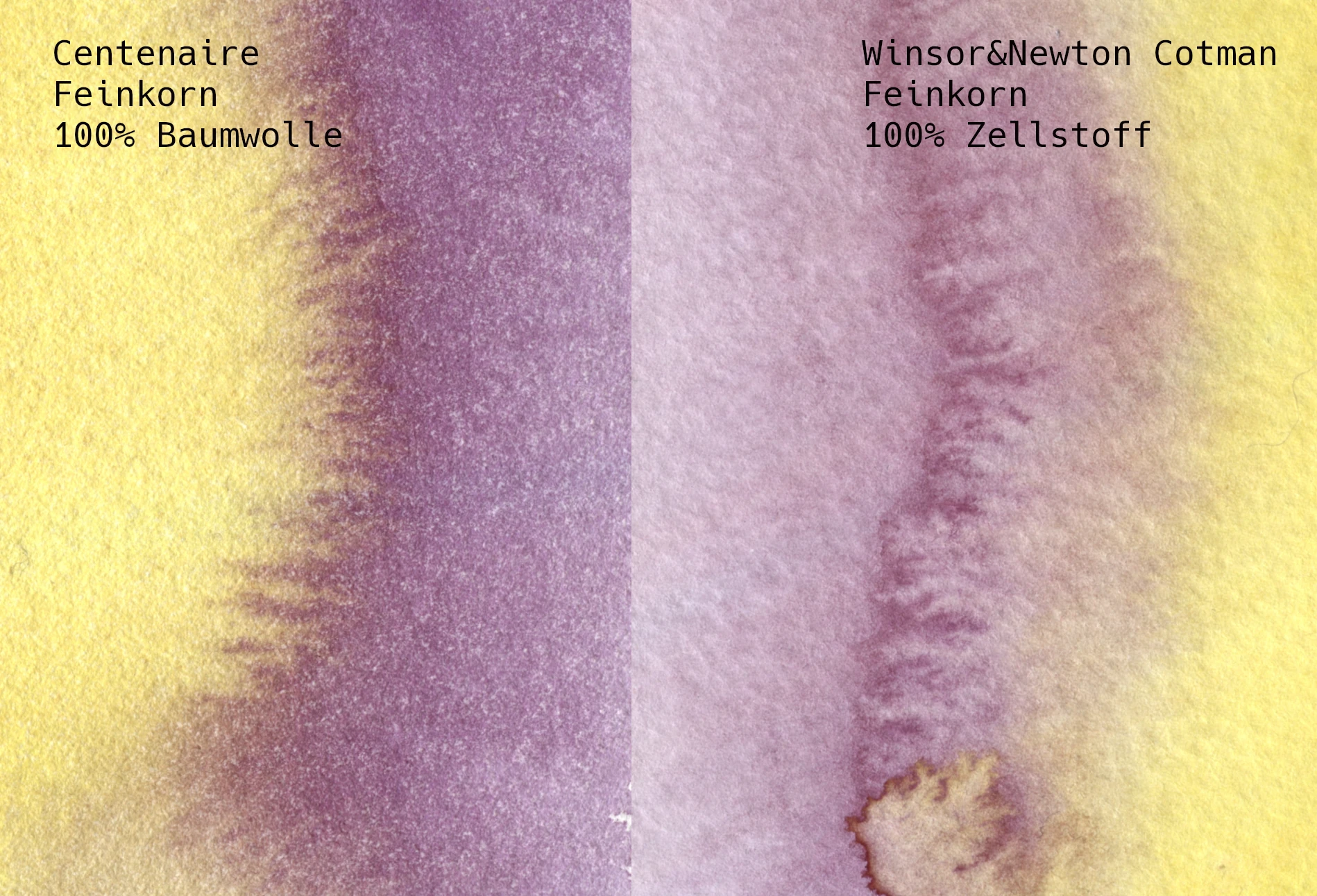 Comparison of cellulose and cotton watercolor papers.