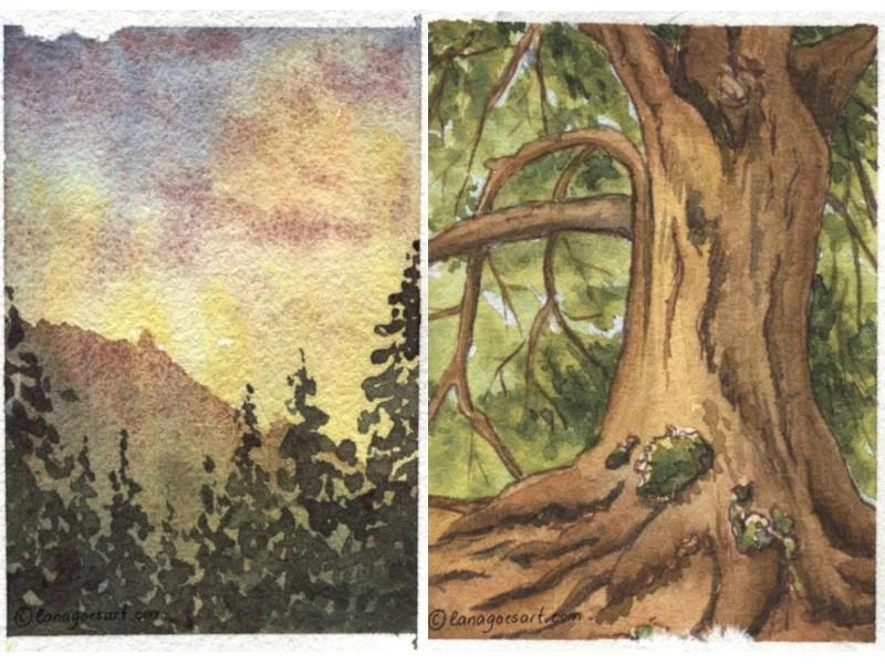 Two
watercolor paintings, a landscape and a tree.