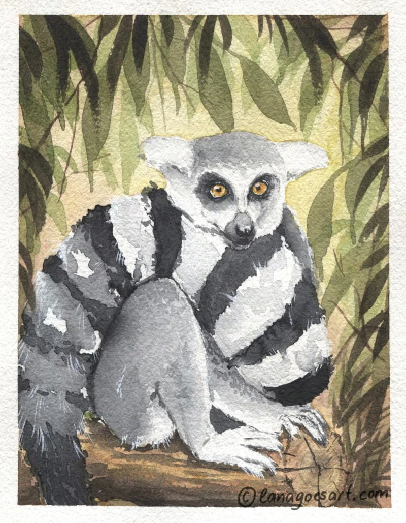 Lemur watercolor painting no ai