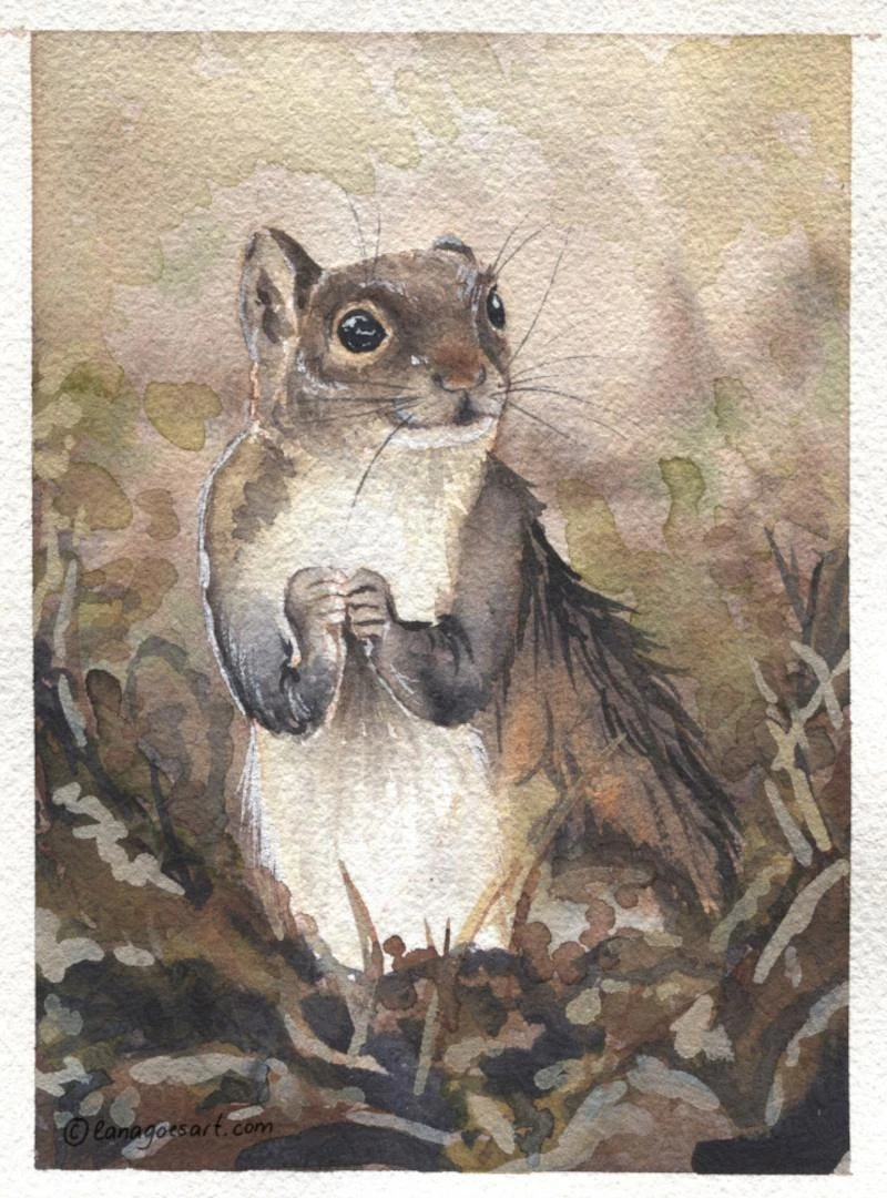 Squirrel watercolor painting no ai