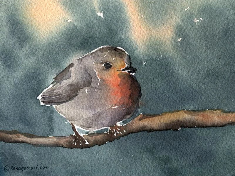 Losse watercolor painting of a robin.