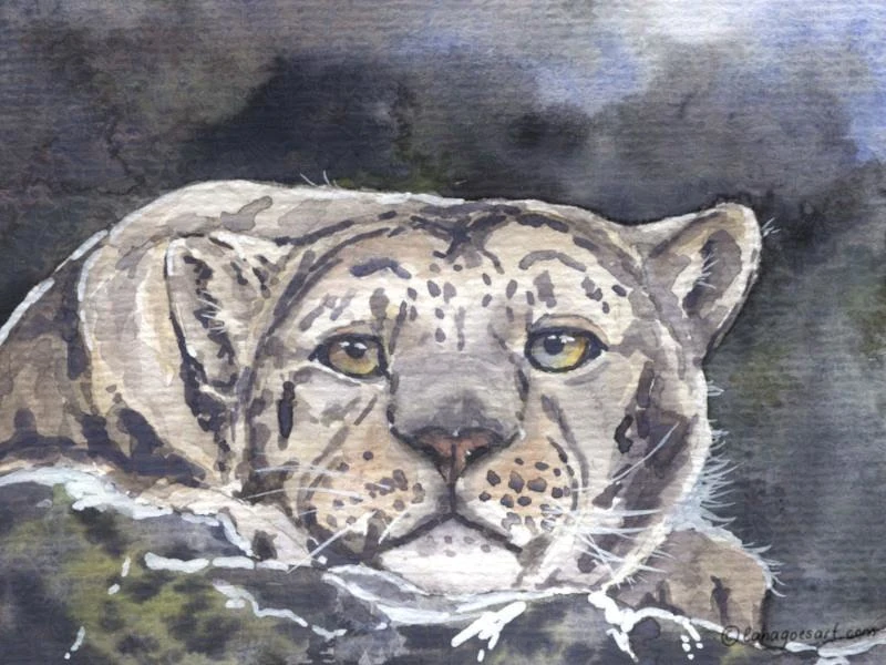 Snow leopard watercolor painting