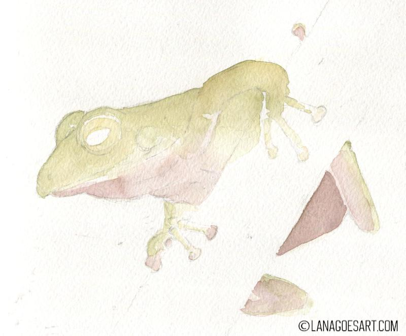 Aquarell Frosch Anleitung
