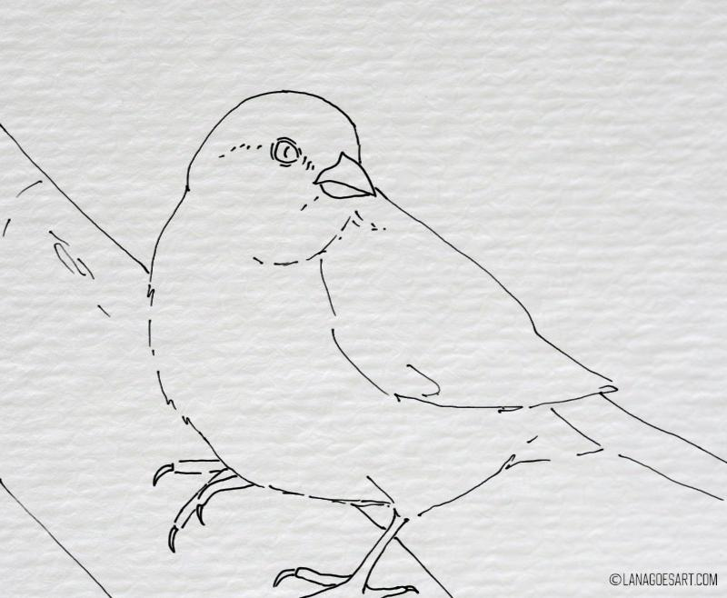 spatz aquarell anleitung