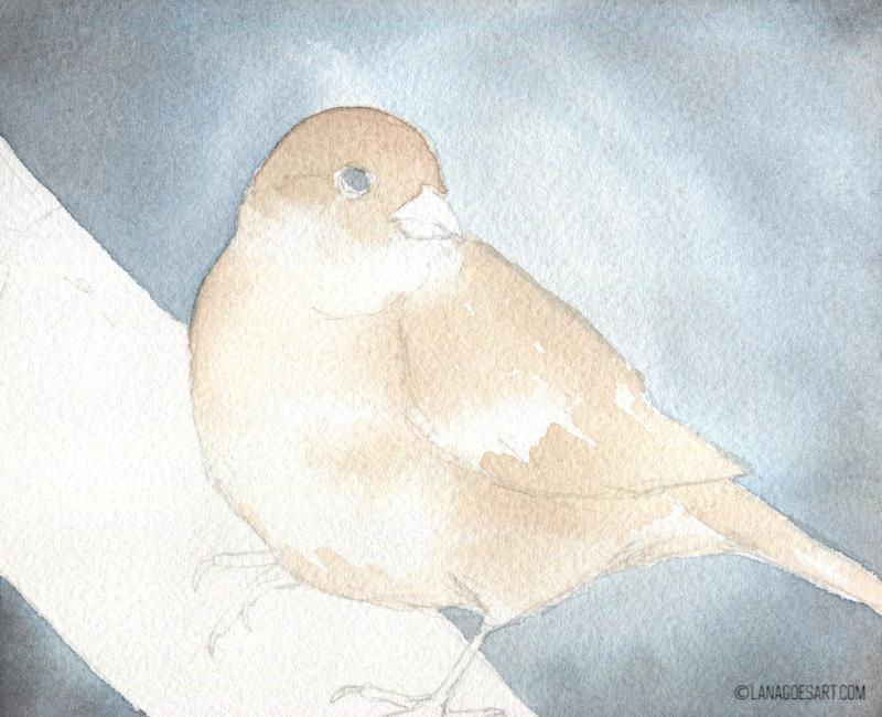 spatz aquarell anleitung