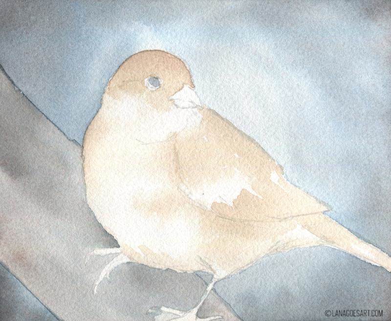 spatz aquarell anleitung