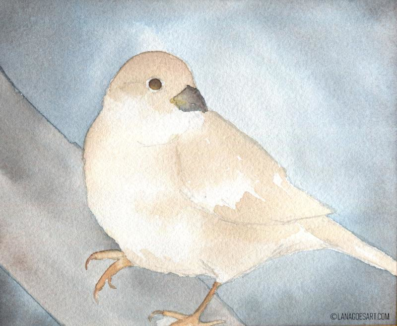 spatz aquarell anleitung