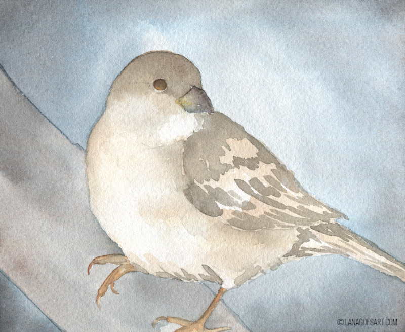 spatz aquarell anleitung
