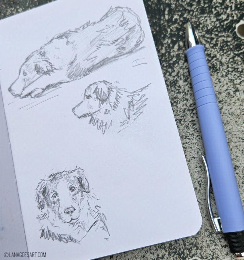 Sketchbook on a table with a purple mechanical pencil next to it. On the open page are sketches of a dog.