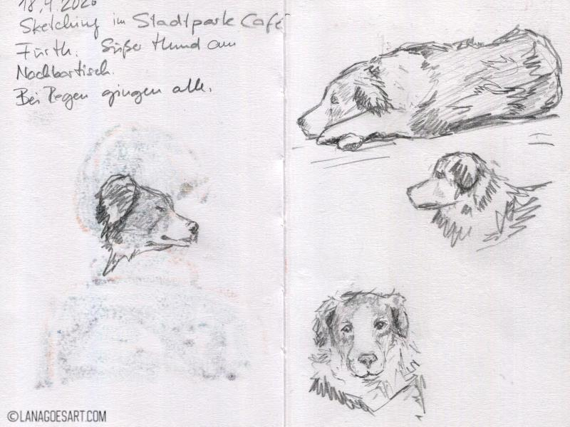 Full spread in the small sketchbook showing several pencil sketches of the dog in different positions.