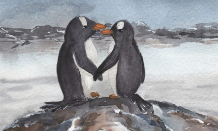 Pinguine/ Penguins