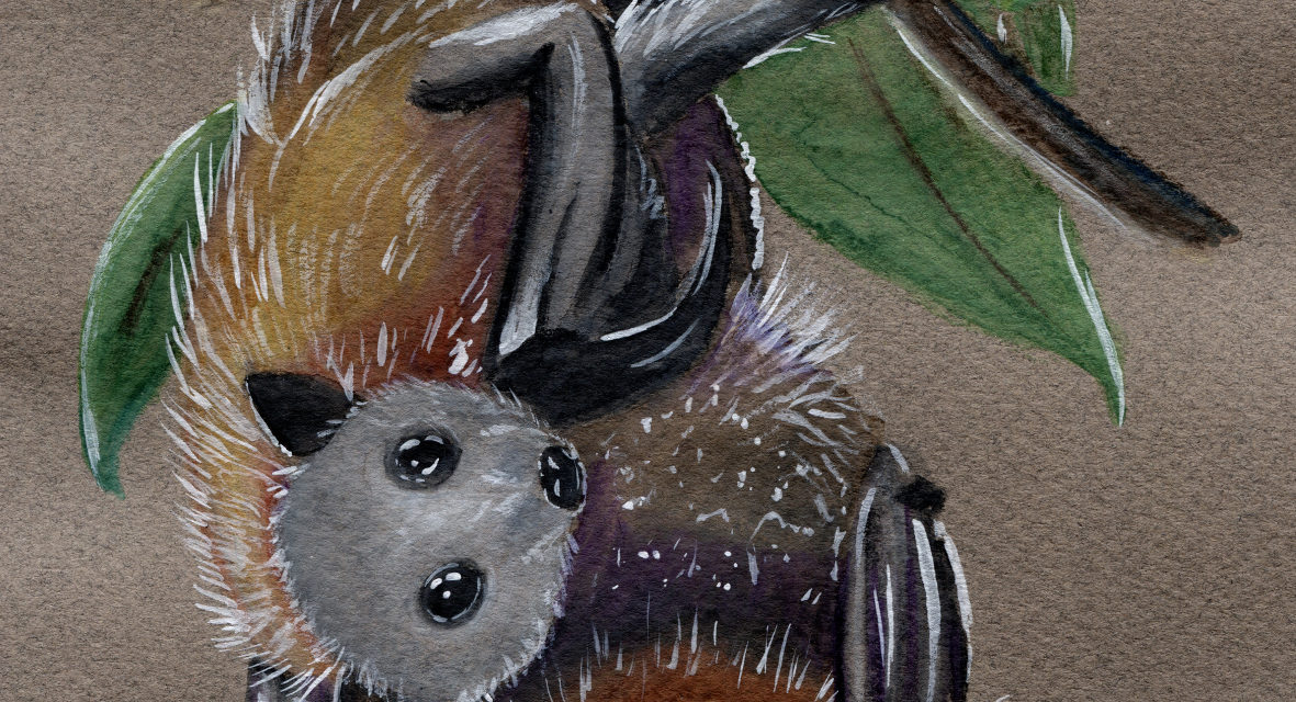 Fledermäuse auf dunklem Papier/ Bats on Tanned Paper