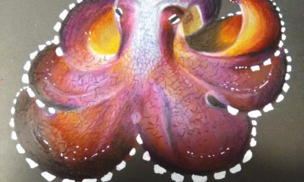 Black Sketchbook: Octopus