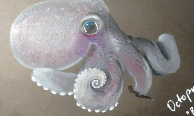 Black Sketchbook: Octopus 2